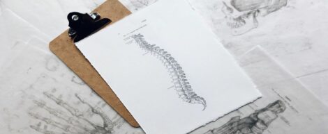 Chiropractic Care photo